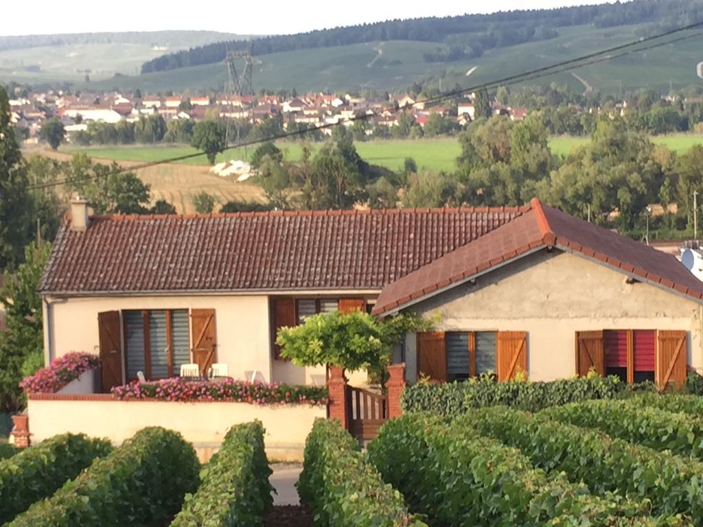 La Loge Du Vigneron Villa Vauciennes  Exterior foto